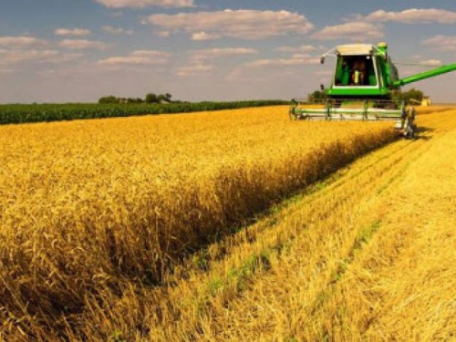 Фото из сети Интернет