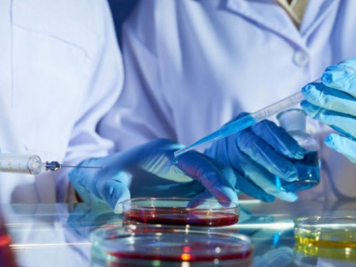 Фото із мережі Інтернет