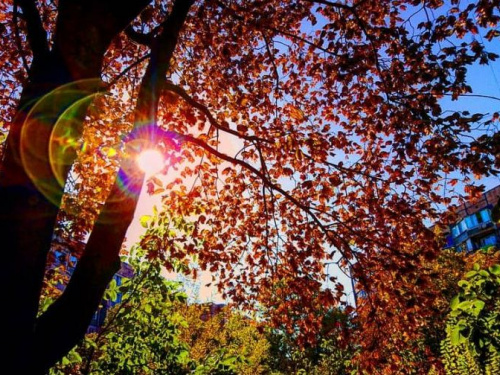 По страницам Instagram: фотопрогулка по осеннему Кривому Рогу (ФОТО)