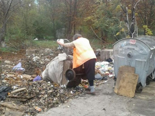 В Кривом Роге управителя оштрафовали за свалку листьев на контейнерной площадке (фото)