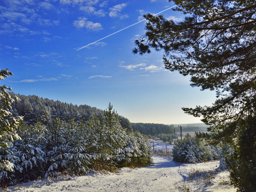 Фото з відкритих джерел  