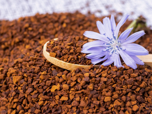 Чому варто спробувати цикорій і кому він може нашкодити - фото з відкритих джерел