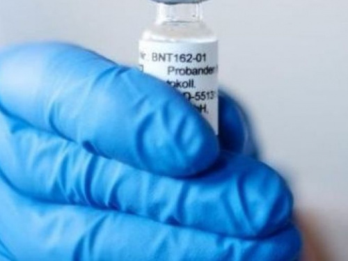 Фото из сети Интернет