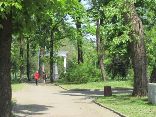Жителей Кривого Рога приглашают озеленить популярный городской парк