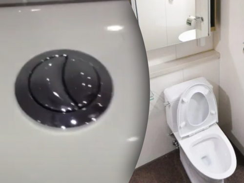 Як подвійна кнопка на унітазі допомагає і гаманцю, і планеті - фото з відкритих джерел