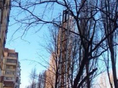 Спасти пушистика: в Кривом Роге пожарные помогли снять кота с дерева (фото)