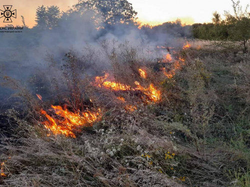 Палають екосистеми Дніпропетровщини: вогнеборці загасили майже 20 загорянь за добу