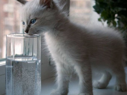 Где завтра в Кривом Роге будет отключено водоснабжение (адреса)