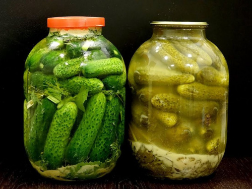 Секрети ідеальних солінь: що означає білий наліт на огірках - фото з відкритих джерел