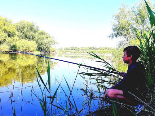 Коли риба клює найкраще - фото з відкритих джерел