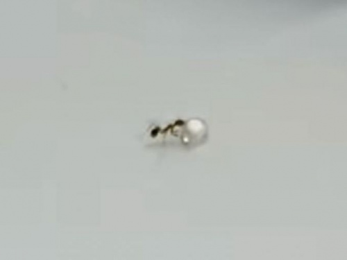 Попытку муравья украсть бриллиант сняли на видео