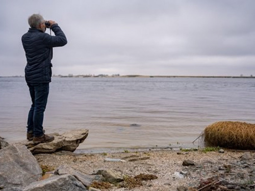 Фото Суспільне 