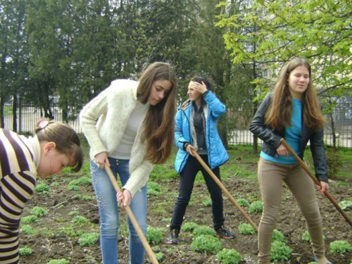 Более тысячи деревьев, кустов и цветов высадили ученики в Кривом Роге (фото)