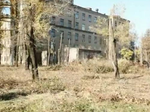 В Кривом Роге сделана вандальная обрезка деревьев в сквере поликлиники на 3 участке (видео)