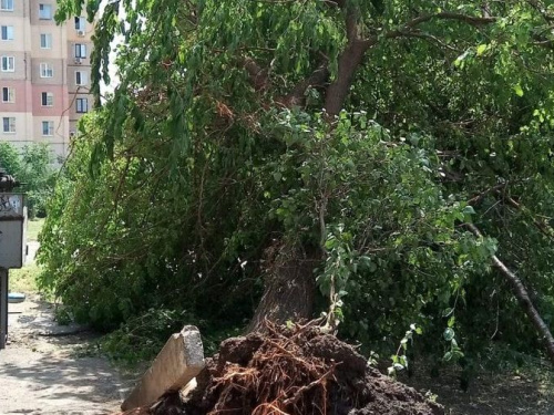 В Кривом Роге и на выходных продолжат убирать поваленные деревья