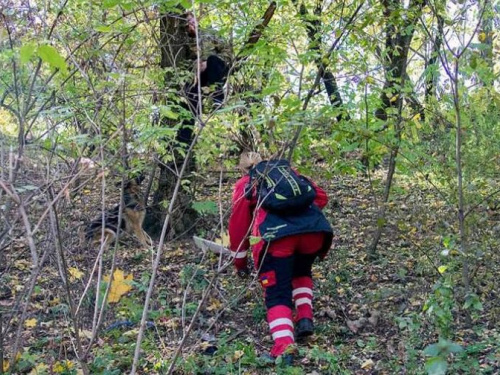 Волонтеры из Кривого Рога прочесали территорию села Миролюбовка в поисках пропавшей девочки