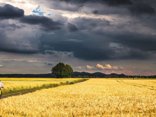 Фото з відкритих джерел      