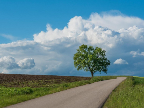 Погода на тиждень - фото ілюстративне з відкритих джерел 