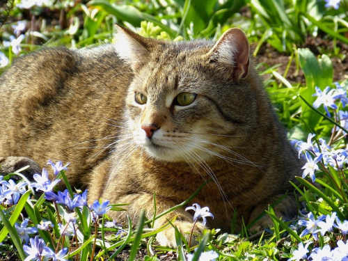 Україну накрив антициклон: прогноз сухої та теплої погоди - фото з відкритих джерел