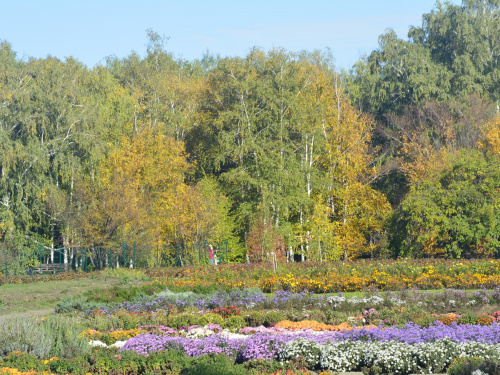 Фото: Криворізький ботанічний сад