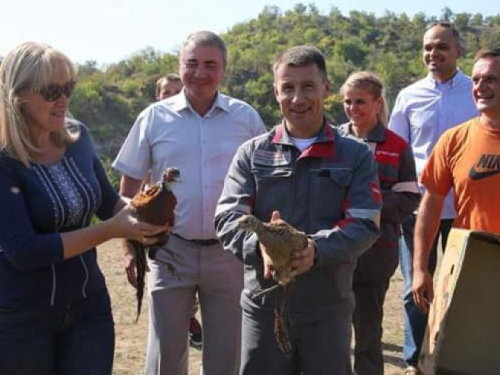 На 200 особей больше: в Кривом Роге при содействии промышленного предприятия улучшают ландшафтный заказник (ФОТО)