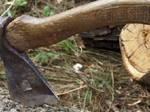 Жители Кривого Рога могут контролировать вырубку деревьев онлайн