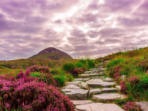 На порозі похолодання - фото ілюстративне з відкритих джерел  