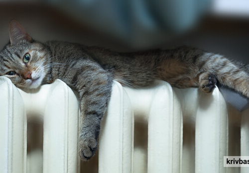 Фото krivbass.city