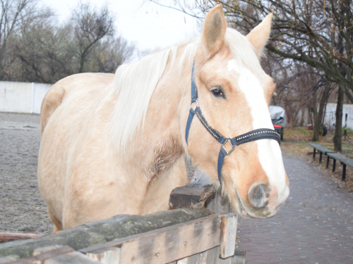 Фото Дніпропетровської обласної служби зайнятості