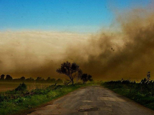 Пилова буря в Україні - фото з відкритих джерел