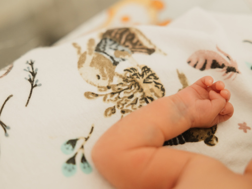 Фото пресслужби Дніпропетровської ОВА