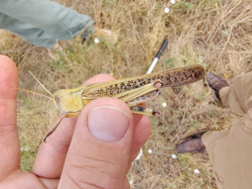 Фото з відкритих джерел