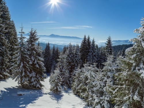 Фото з відкритих джерел       