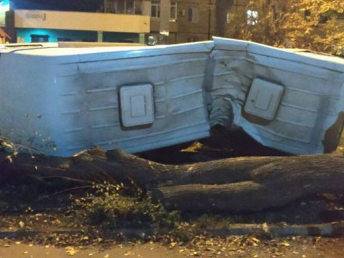 ДТП в Кривом Роге: микроавтобус вылетел на тротуар и врезался в дерево (ФОТО)