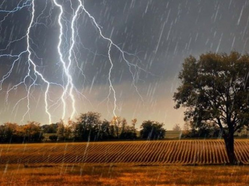 На Днепропетровщине из-за непогоды более тысячи абонентов остались без электроснабжения