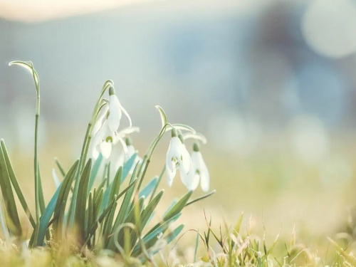 Антициклон панує: що очікувати від погоди на вихідні - фото з відкритих джерел