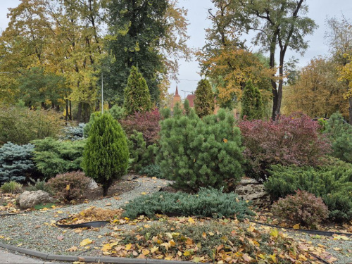 фото редакції krivbass.city