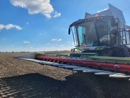 Українські аграрії проти стихії: як триває збір урожаю соняшника - фото з каналу Євген Ситниченко / Криворізький район