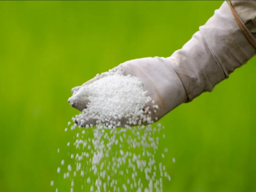 Фото із мережі Інтернет