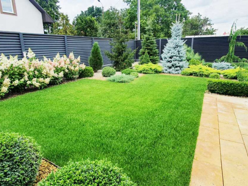 Як звичайна кориця може врятувати ваш газон - фото з відкритих джерел