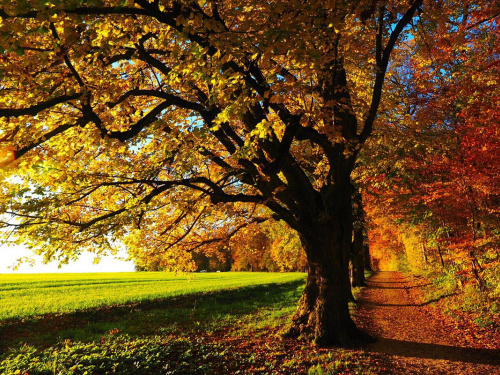 Фото з відкритих джерел  