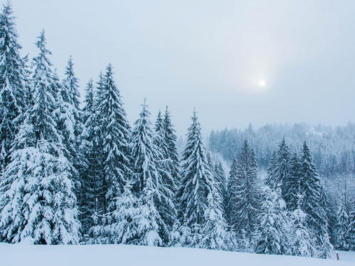 Погода на тиждень - фото ілюстративне з відкритих джерел 