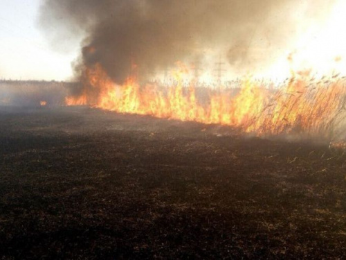 В Кривом Роге за последние сутки случилось 14 пожаров (фото)