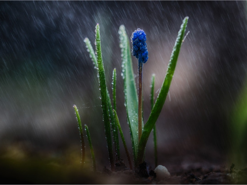 День сили: як використати енергію весняного рівнодення - фото з відкритих джерел