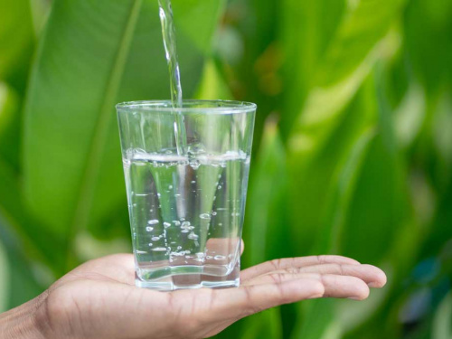 Вода натщесерце: міф чи необхідність - фото з відкритих джерел