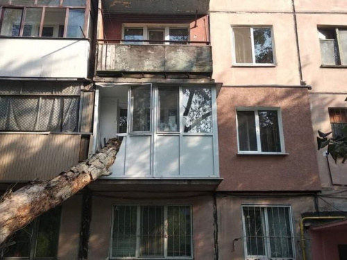Проблемы с сухостоем: в Кривом Роге дерево упало прямо в квартиру (фото)