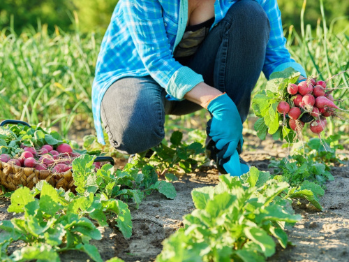 Фото з відкритих джерел