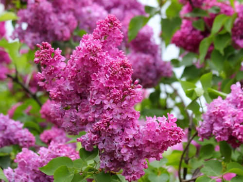 Погодні сюрпризи - фото ілюстративне з відкритих джерел  