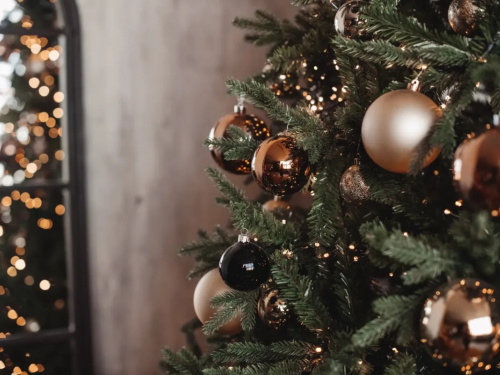 Святкова магія: обираємо правильний день для ялинки - фото з відкритих джерел
