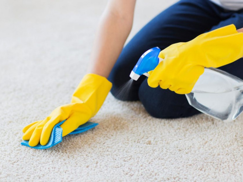 Корисні поради для швидкого видалення грибка з килимка у ванній: що потрібно зробити